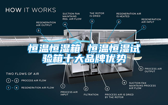 恒温恒湿箱 恒温恒湿试验箱十大品牌优势