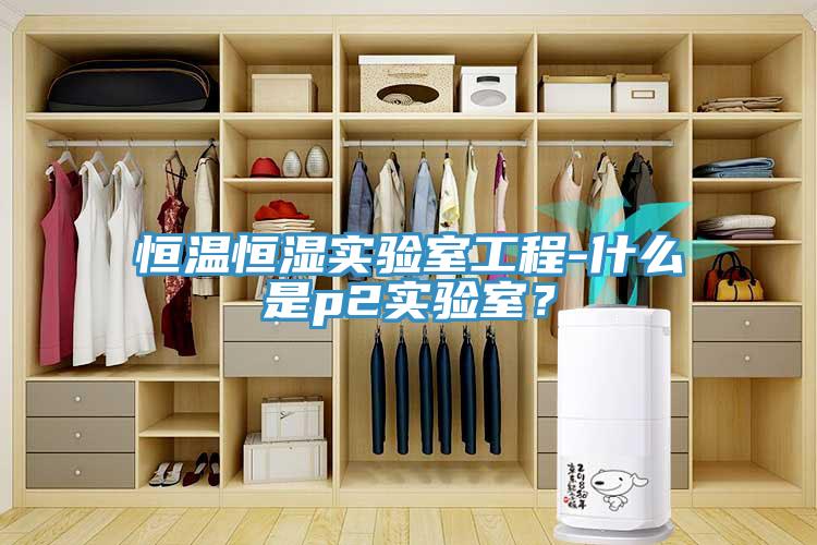 恒温恒湿实验室工程-什么是p2实验室？
