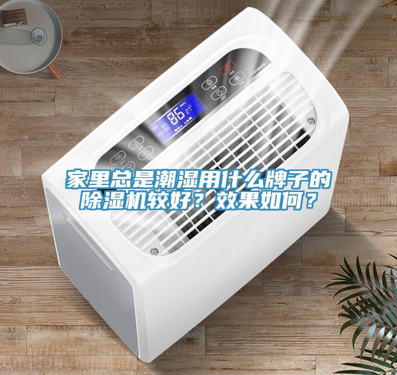 家里总是潮湿用什么牌子的除湿机较好？效果如何？