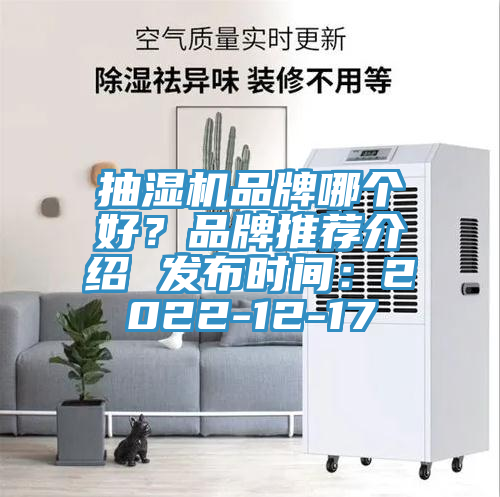 抽湿机品牌哪个好？品牌推荐介绍 发布时间：2022-12-17