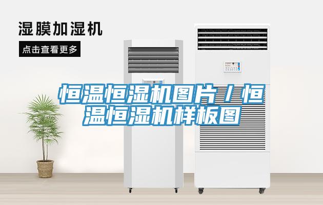 恒温恒湿机图片／恒温恒湿机样板图