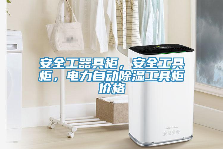 安全工器具柜，安全工具柜，电力自动除湿工具柜价格