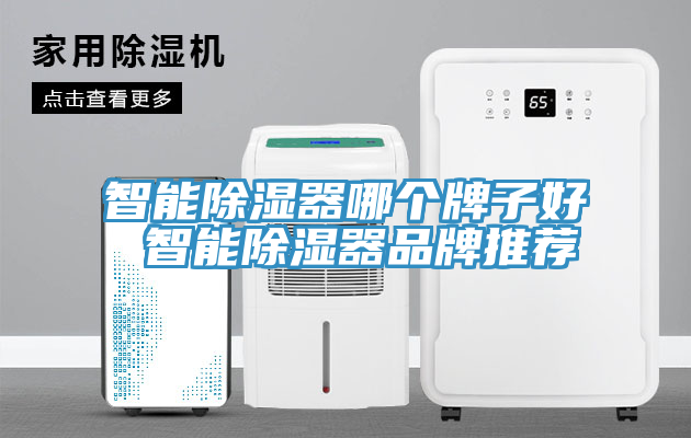 智能除湿器哪个牌子好 智能除湿器品牌推荐