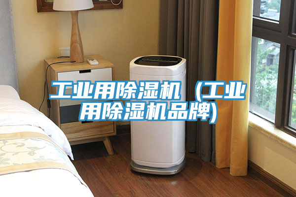 工业用除湿机 (工业用除湿机品牌)
