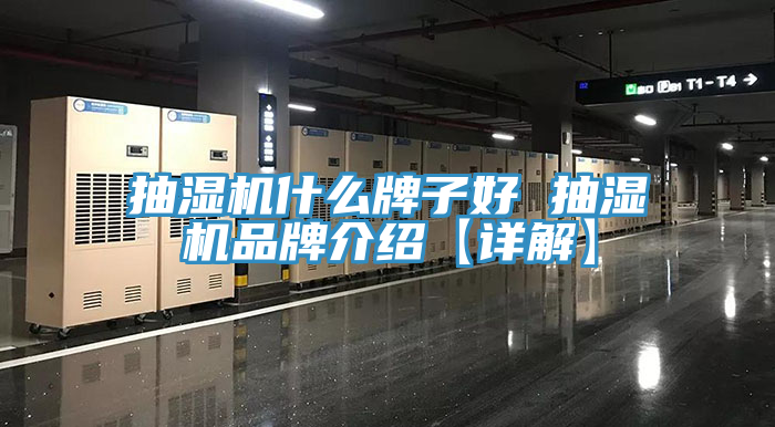 抽湿机什么牌子好 抽湿机品牌介绍【详解】