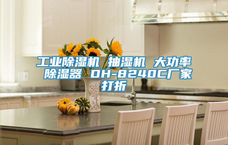 工业除湿机 抽湿机 大功率 除湿器 DH-8240C厂家打折