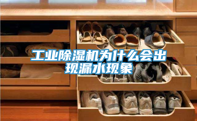 工业除湿机为什么会出现漏水现象
