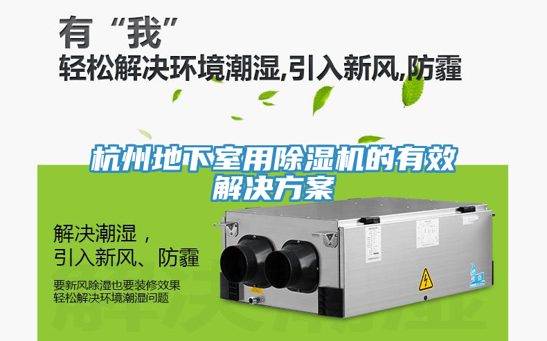 杭州地下室用除湿机的有效解决方案