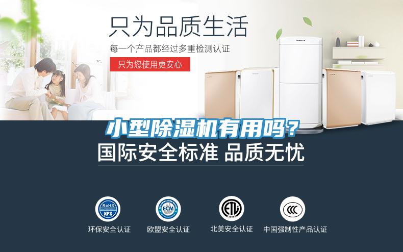 小型除湿机有用吗？