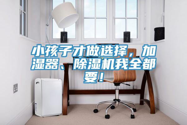 小孩子才做选择，加湿器、除湿机我全都要！