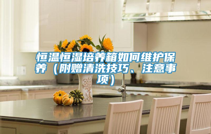 恒温恒湿培养箱如何维护保养（附赠清洗技巧、注意事项）