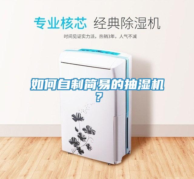 如何自制简易的抽湿机？