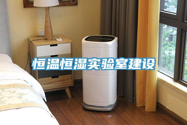 恒温恒湿实验室建设