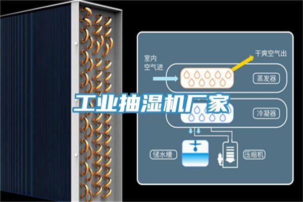 工业抽湿机厂家