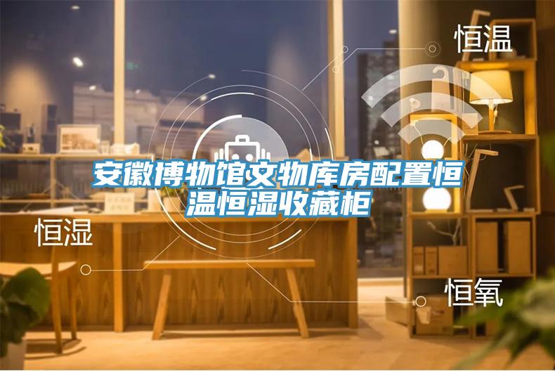 安徽博物馆文物库房配置恒温恒湿收藏柜