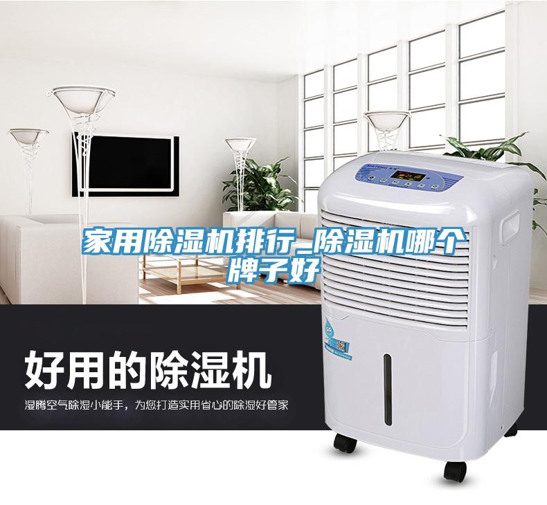 家用除湿机排行_除湿机哪个牌子好