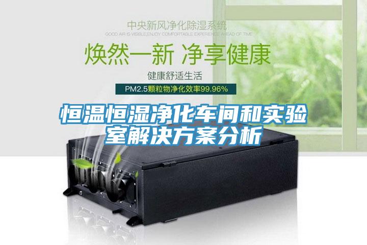 恒温恒湿净化车间和实验室解决方案分析