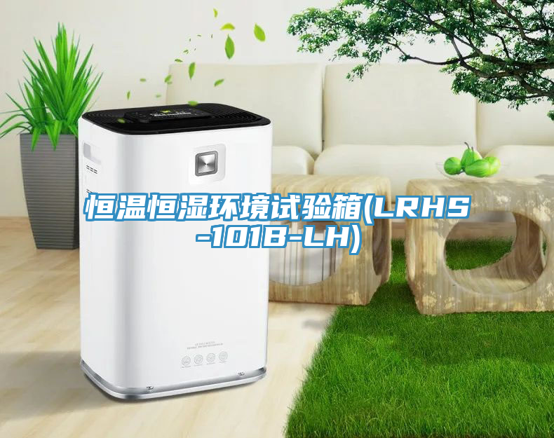 恒温恒湿环境试验箱(LRHS-101B-LH)