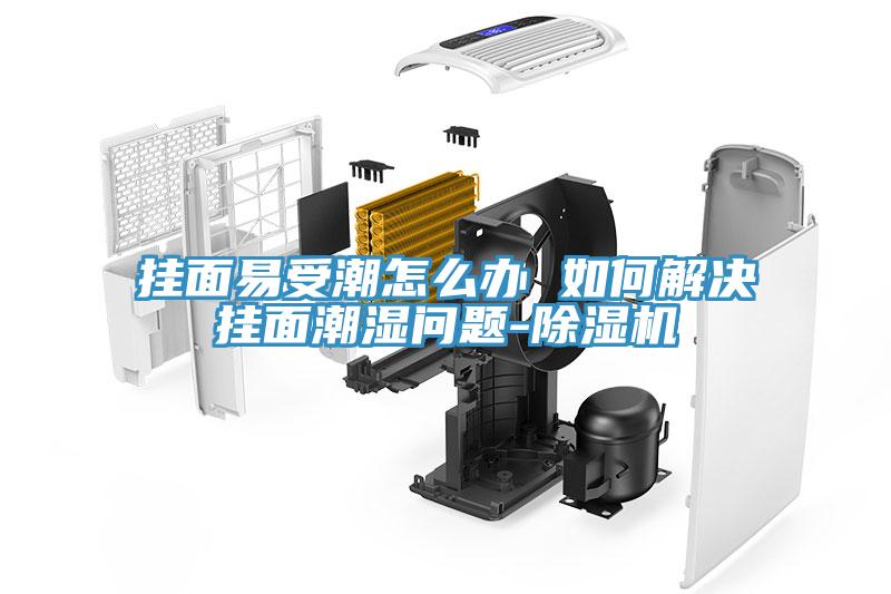 挂面易受潮怎么办 如何解决挂面潮湿问题-除湿机