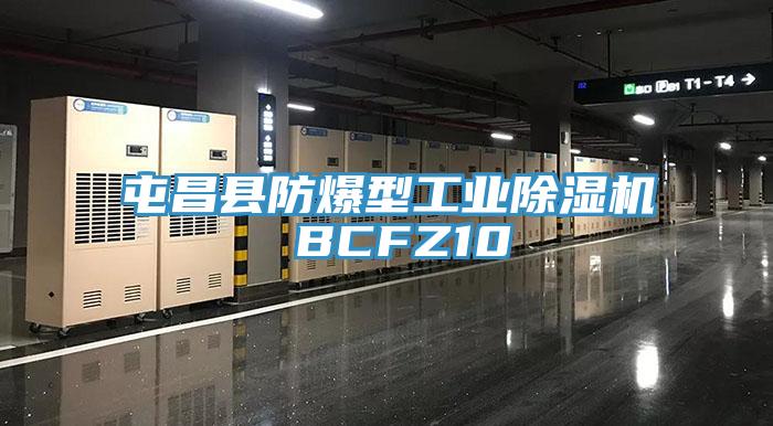 屯昌县防爆型工业除湿机 BCFZ10