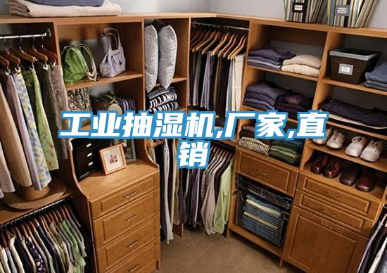 工业抽湿机,厂家,直销