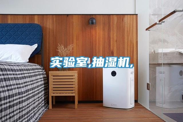 实验室,抽湿机,