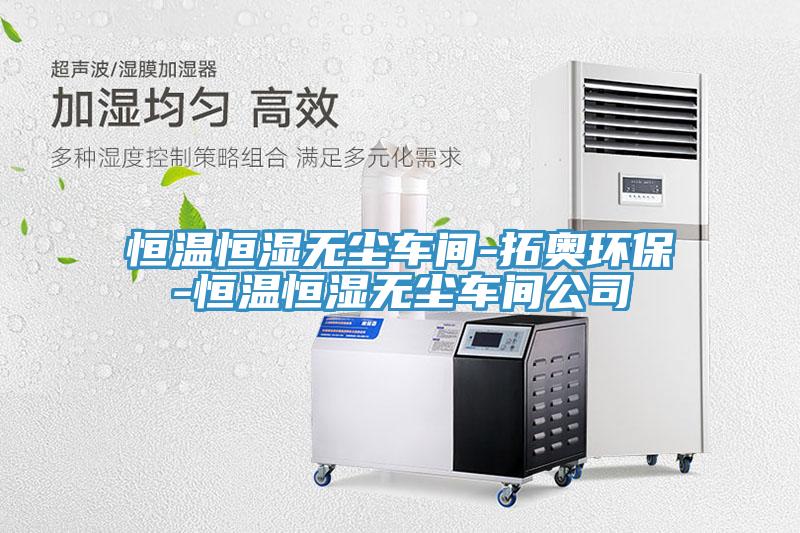 恒温恒湿无尘车间-拓奥环保-恒温恒湿无尘车间公司