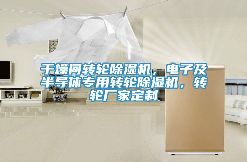 干燥间转轮除湿机，电子及半导体专用转轮除湿机，转轮厂家定制