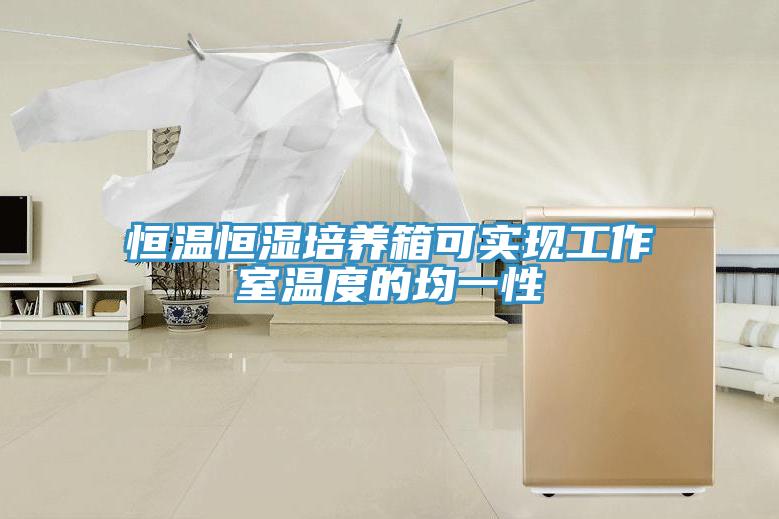 恒温恒湿培养箱可实现工作室温度的均一性