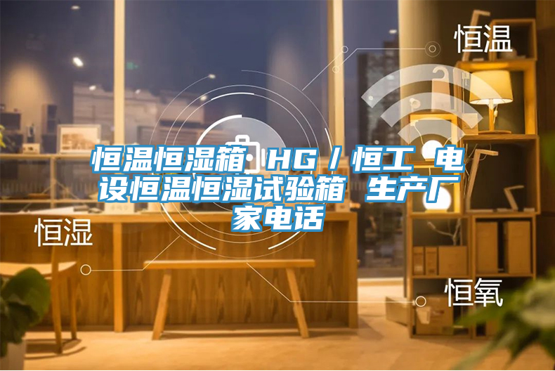 恒温恒湿箱 HG／恒工 电设恒温恒湿试验箱 生产厂家电话