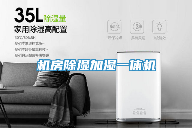 机房除湿加湿一体机