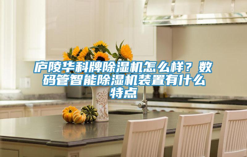 庐陵华科牌除湿机怎么样？数码管智能除湿机装置有什么特点
