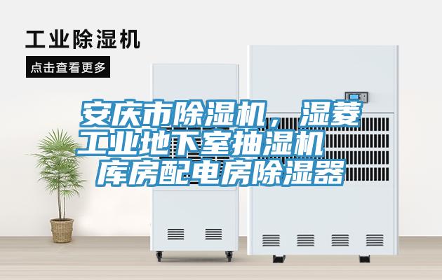 安庆市除湿机，湿菱工业地下室抽湿机  库房配电房除湿器