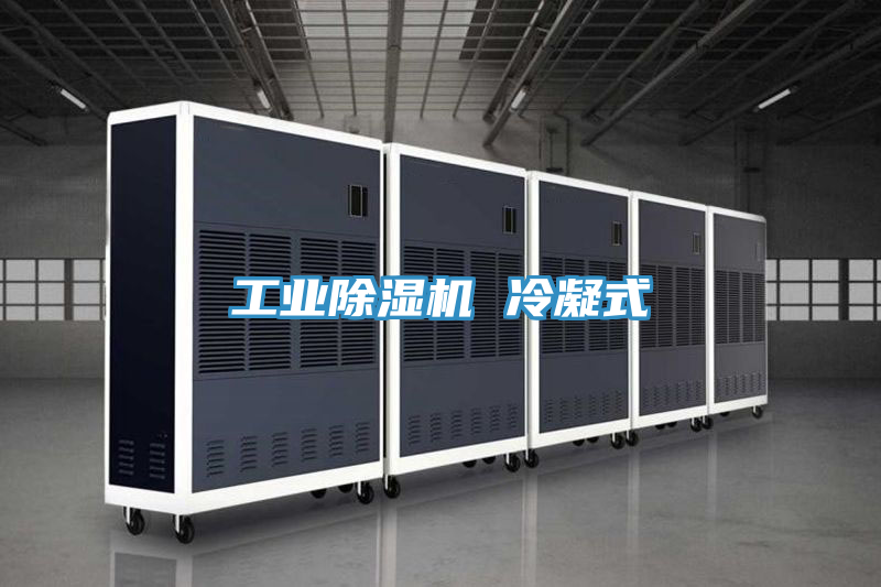 工业除湿机 冷凝式