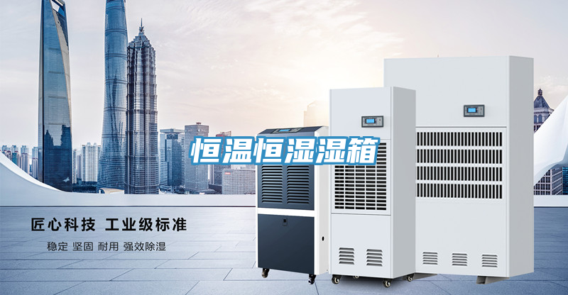 恒温恒湿湿箱