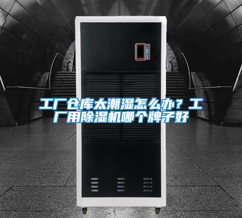 工厂仓库太潮湿怎么办？工厂用除湿机哪个牌子好