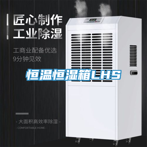 恒温恒湿箱LHS
