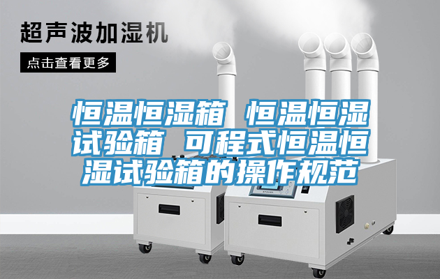 恒温恒湿箱 恒温恒湿试验箱 可程式恒温恒湿试验箱的操作规范