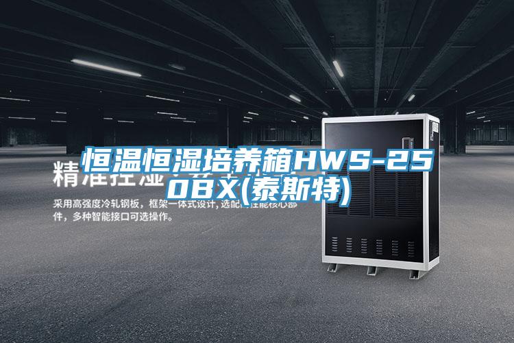 恒温恒湿培养箱HWS-250BX(泰斯特)