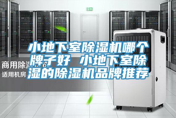 小地下室除湿机哪个牌子好 小地下室除湿的除湿机品牌推荐