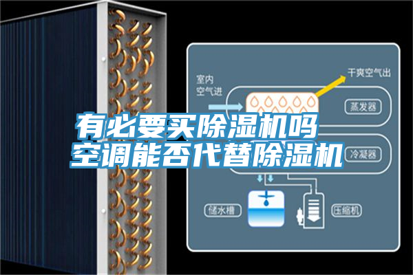 有必要买除湿机吗 空调能否代替除湿机