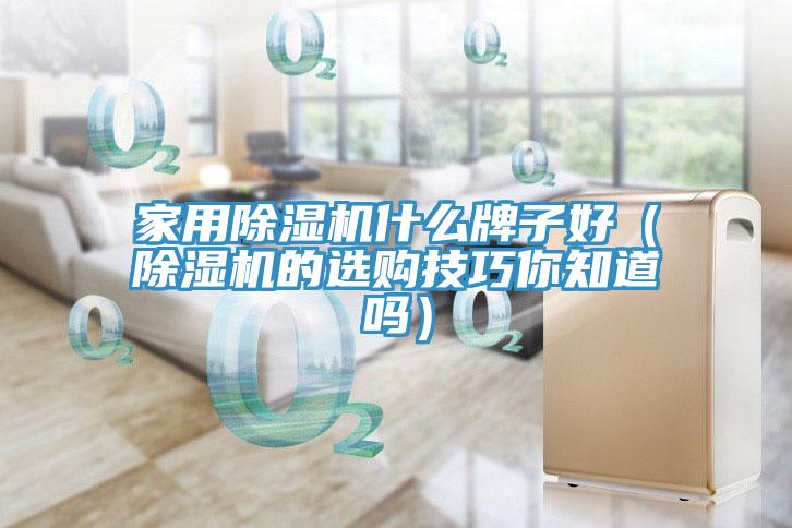 家用除湿机什么牌子好（除湿机的选购技巧你知道吗）