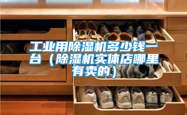 工业用除湿机多少钱一台（除湿机实体店哪里有卖的）