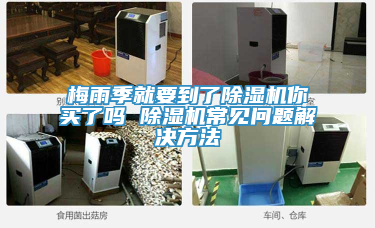 梅雨季就要到了除湿机你买了吗 除湿机常见问题解决方法