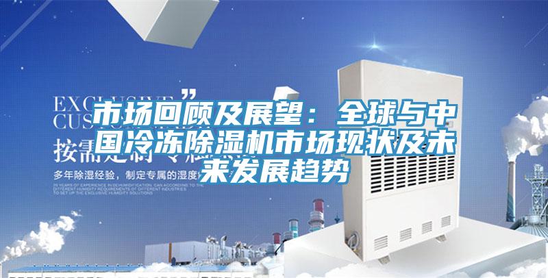市场回顾及展望：全球与中国冷冻除湿机市场现状及未来发展趋势