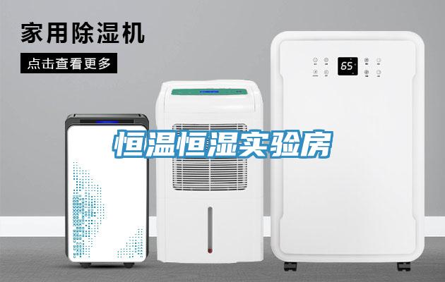 恒温恒湿实验房