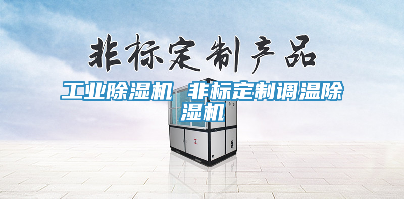 工业除湿机 非标定制调温除湿机