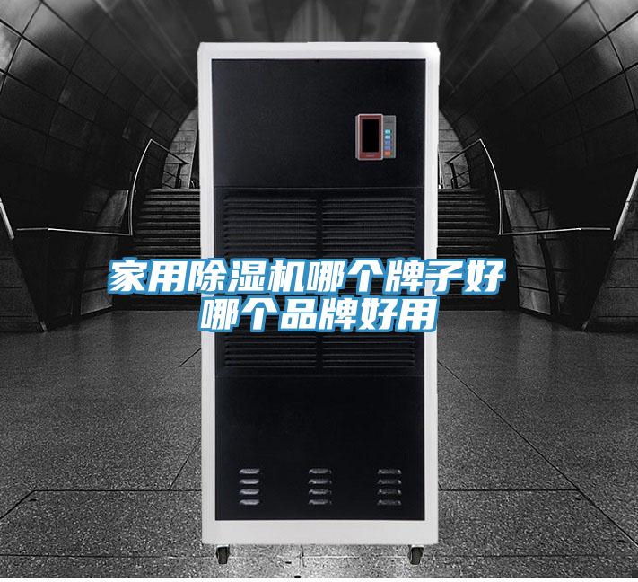 家用除湿机哪个牌子好 哪个品牌好用
