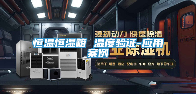 恒温恒湿箱 温度验证-应用案例