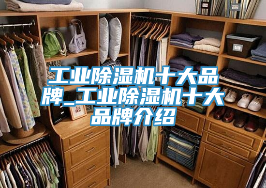 工业除湿机十大品牌_工业除湿机十大品牌介绍